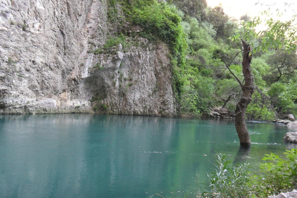 Bastide De La Lezardiere Fontaine-de-Vaucluse Ngoại thất bức ảnh