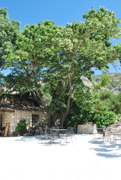 Bastide De La Lezardiere Fontaine-de-Vaucluse Ngoại thất bức ảnh